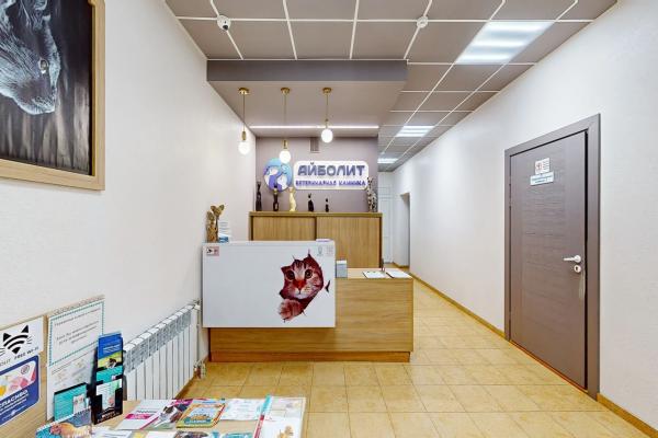 Ветеринарная клиника Айболит
